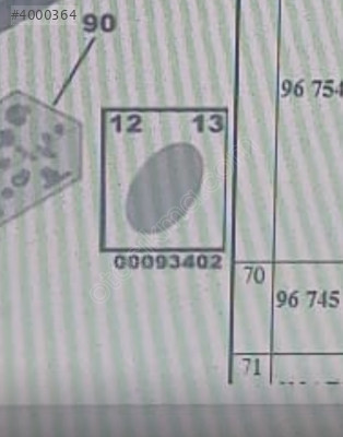 Citroen C-Elysee yapışkan film 6587HI