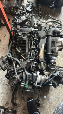 Ford Focus 1.6 dizel motor