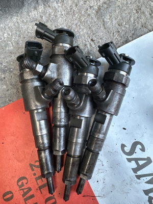 BOSCH 0445110135 | Enjektör 206 307 C2 C3 C3 Xsara Dv4 1.4Hdı