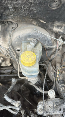 SEAT CORDOBA FİREN