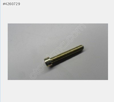 VOLKSWAGEN CİVATA FAN KAPLİNİ PASSAT 97-00 N  10302601