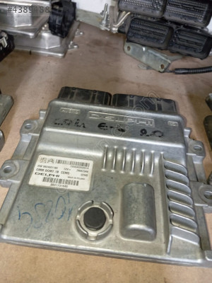 9831731680 9824601180 PEJO BOXER BEYİN