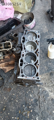 Fiat motor