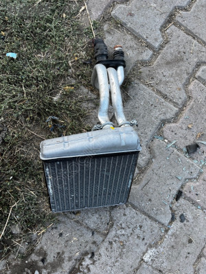 Kedi kalorifer radyatorü