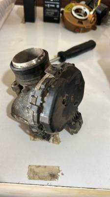 Pejo 301 gaz kelebeği