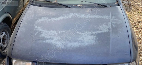 volkswagen polo kaput