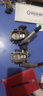 Laguna 1 gaz kelebeği