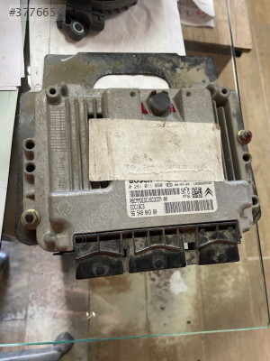 Peugeot 307 motor beyni