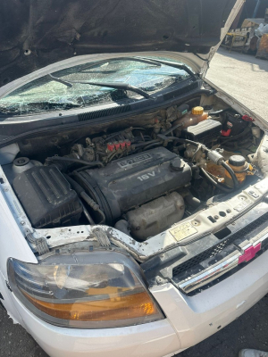 KALOS ÇIKMA MOTOR