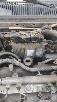 ALBEA MOTOR BEYNİ