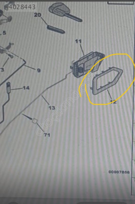 citroen berlingo arka Kapı kolu çıtası sağ 9119 C7