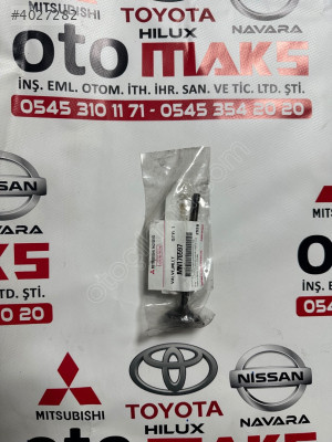 MN176597 L200 SUBAP EMME EGZOZ