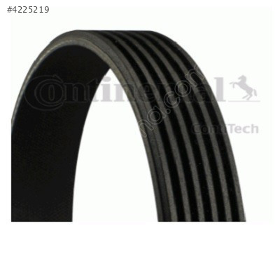 ŞARZ KAYIŞI (6PK 2236) T4 96-04 074145933T