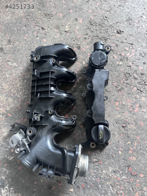 Fort focus DV6 emme Manifoltu