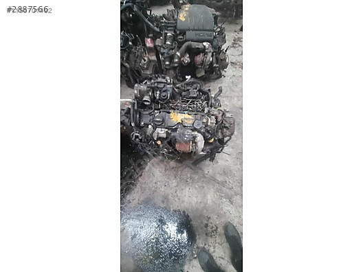 Ford focus 1.6 Euro5 dolu motor