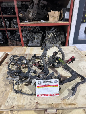 Toyota corolla Euro 5 motor tesisatı