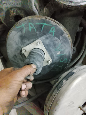 tata vestinoz parçası