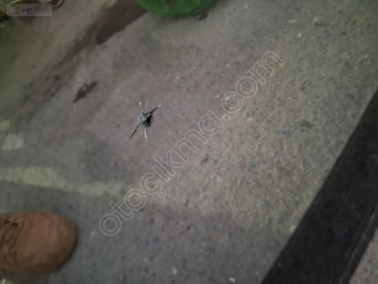 2024-25 FORD CUSTOM YENİ KASA ÖN CAM