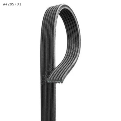 Vw Transporter T5 V Kayışı 1.9TDI 6DPK1215 2005-2010 038903137S-2