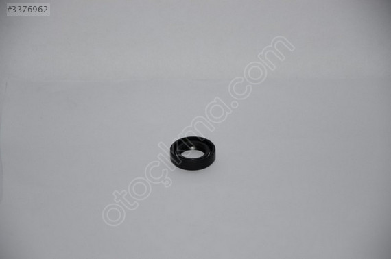 MD069948 L 300 4D55 BALANS KEÇE - KÜÇÜK