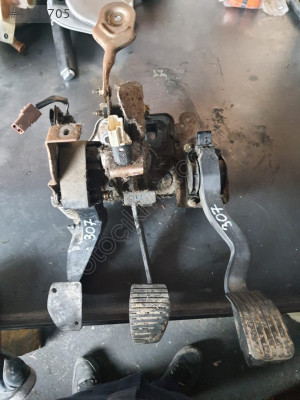Peugeot Pejo 307 Gaz Pedal Seti