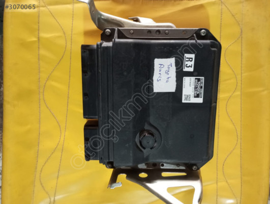 Auris motor beyni
