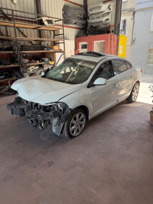 2011 Fluence Sol Kapı