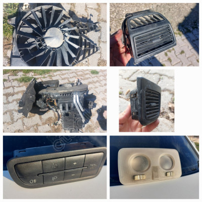 Linea İç bakalitler