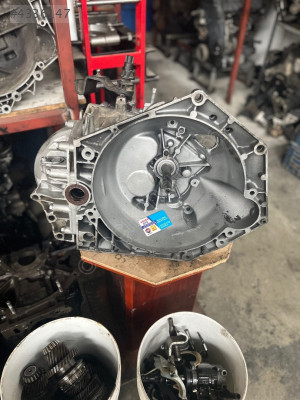 Ducaoto 2.3 şanziman