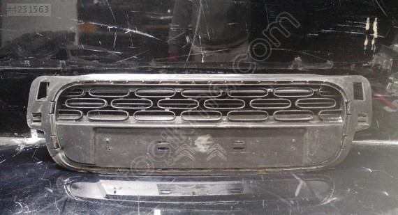 Citroen C32016-2020 Ön Tampon Üst Panjur || Orjinal Oto Çıkma