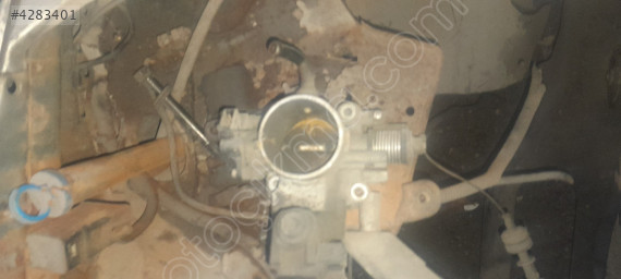 Kia shuhuma gaz kelebeği