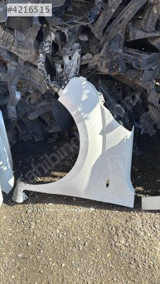 Fiorino sol çamurluk