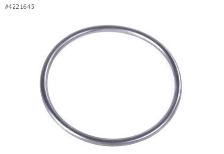 ORİNG TERMOSTAT T4 96-04 N90136802