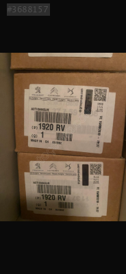 1920RV DS5 308 T9 EKSANTİRİK AKSİYONERİ