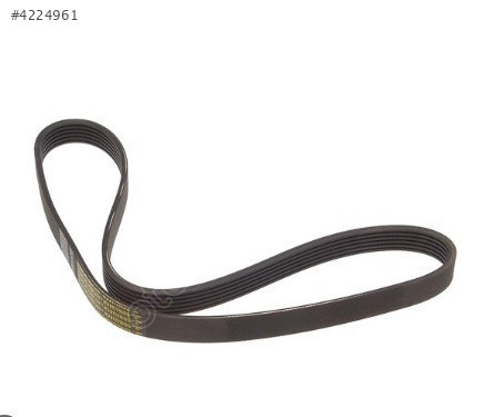 ŞARZ KAYIŞI (6PK1045) CADDY 96-04 028903137BB