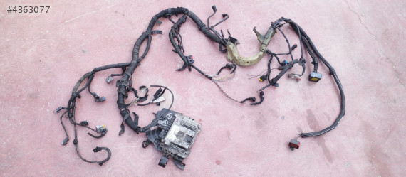 Peugeot Citroën 206 1.4 HDi Motor Beyni  Tesisat  DV4