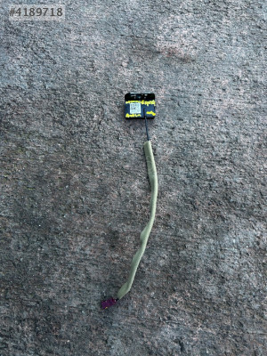 2023 express otomatik anten