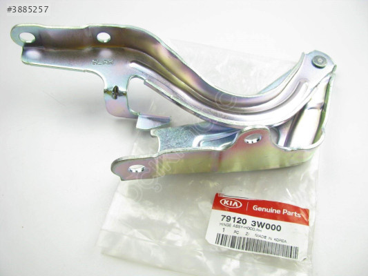 79120-3W000 KAPUT MENTEŞESİ SAĞ 11- SPORTAGE