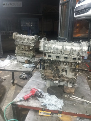 Linea motor