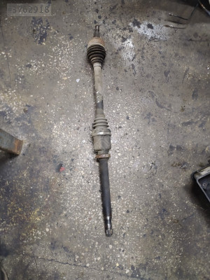 Reno Kongo 3 aks