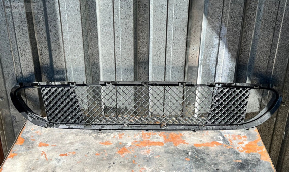 BMW 5 SERİSİ E60 ÖN TAMPON IZGARASI