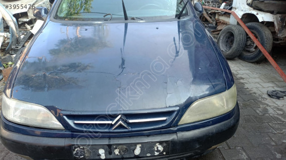 citroen xsara kaput
