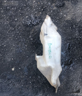 FİAT DOBLO SU BİDONU OTO FEDAİ