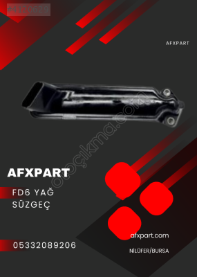 FD6 Civic Yağ Süzgeç 2006-2011  15220-RNA-A01