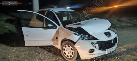 Peugeot 206+