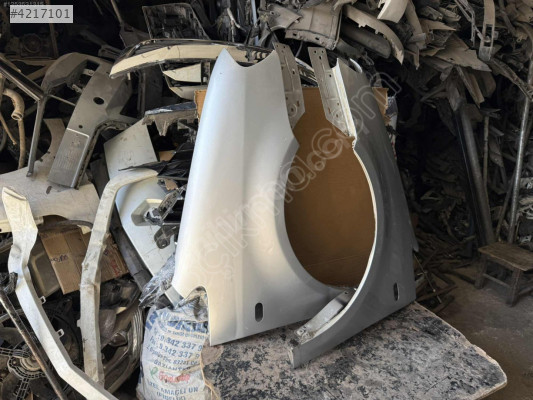 2006 Kedi sağ sol Çamurluk