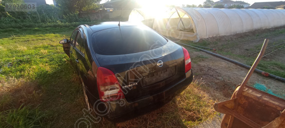 Nissan Primera arka tampon