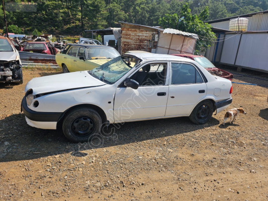 TOYOTA COROLLA TERRA SOL ÖN KAPI