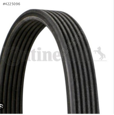 ŞARZ KAYIŞI (ÇİFT TARAFLI 6DPK1195) GOLF4 98-04 06A260849E