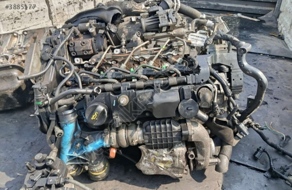 Ford focus Euro 5 1.6 dizel motor